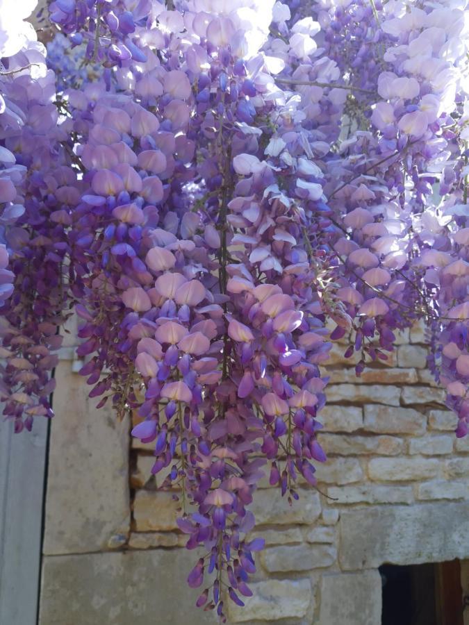 Wisteria Cottage Les Adjots Bagian luar foto